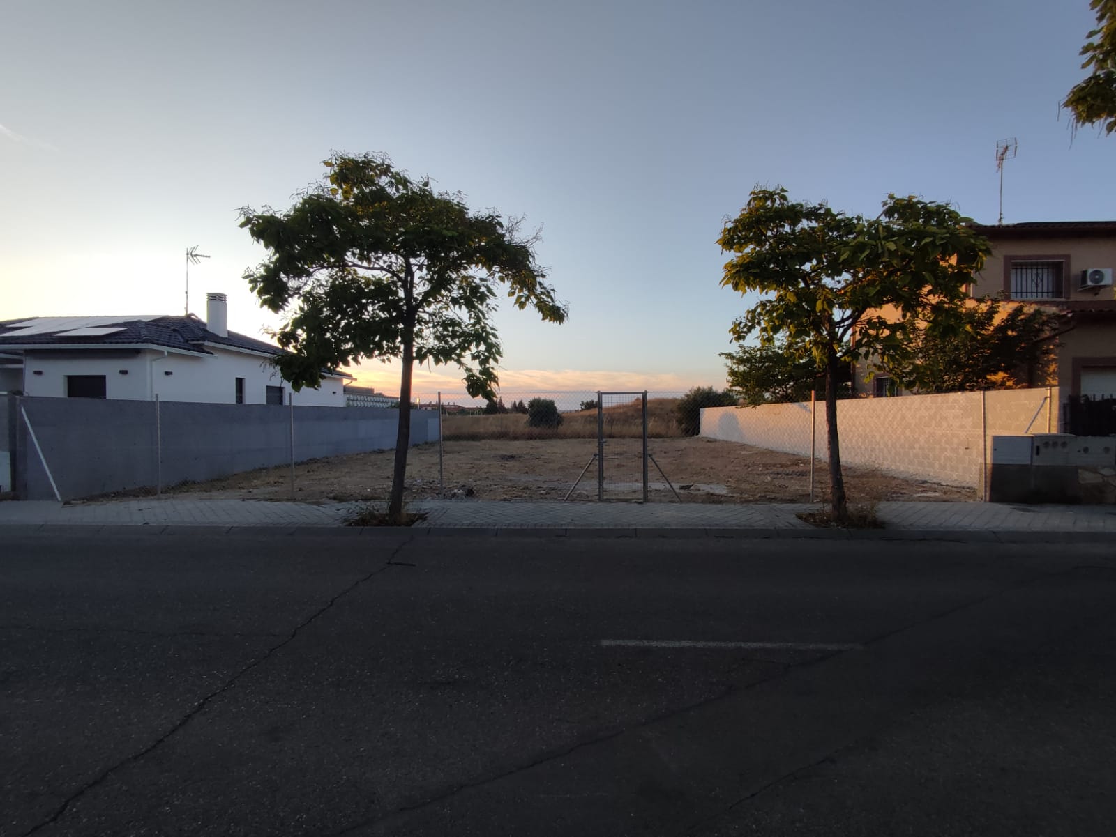 Servicios de jardinería en Ciempozuelos